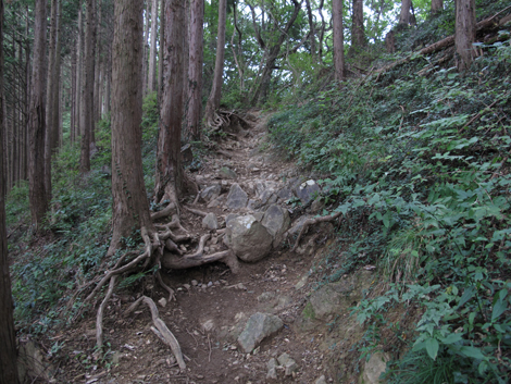 20161014hike (105)